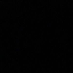 Meet your Posher, Bailey